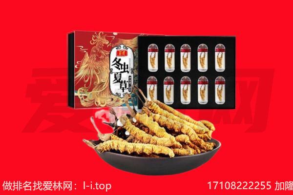 九江市柴桑回收虫草.jpg